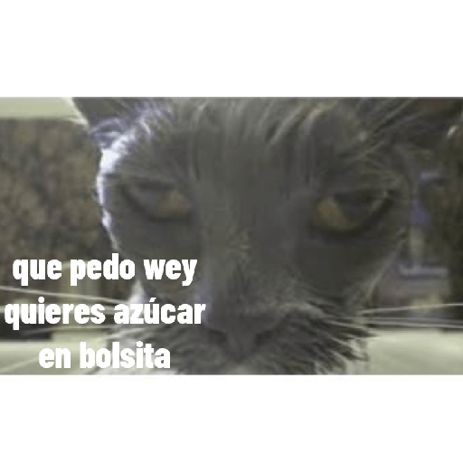 Animales xd 6