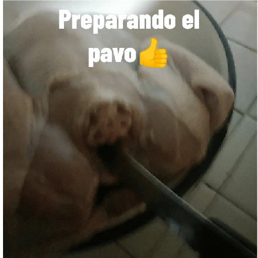 Xdd 4