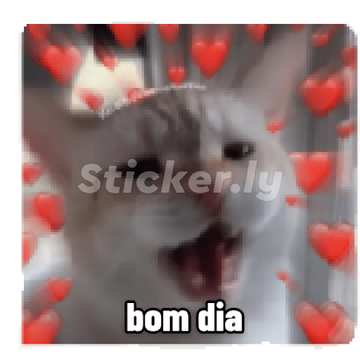 Te amo 17