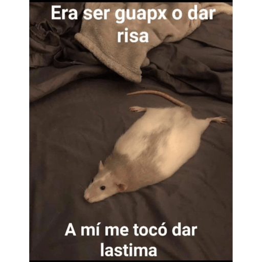 Memes Random Pt 1 26