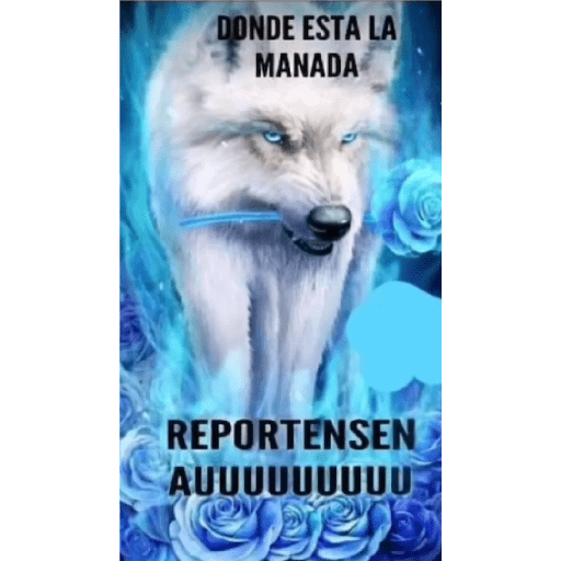 Sé un lobo 1