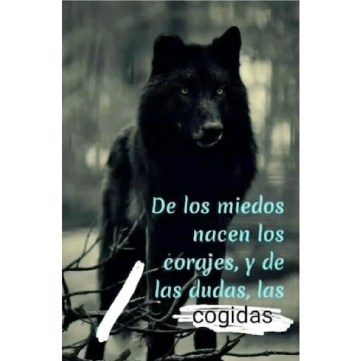 Sé un lobo 4