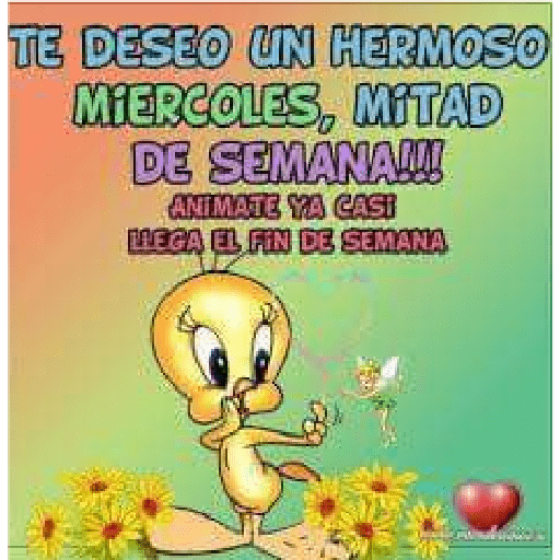 Piolín, buenos días 1