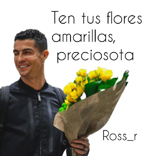 Flores 🌻Amarillas 💛 17