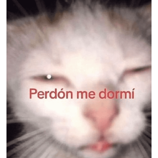 X somos chavos 26