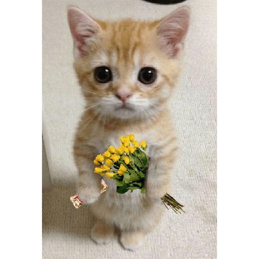 Flores 🌻Amarillas 💛 9