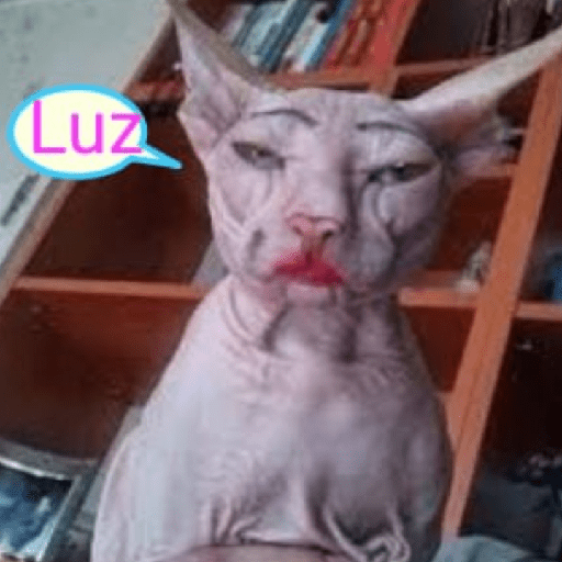 Animales xd 7