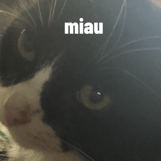 Miau miua miau  1