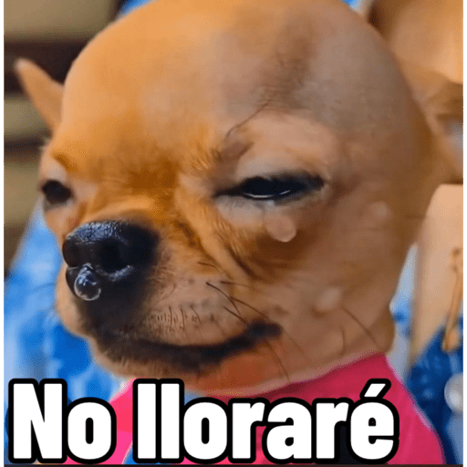 Bdjsjdbdvab 19