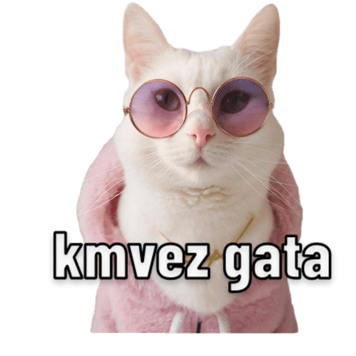 Michis 🐱 11