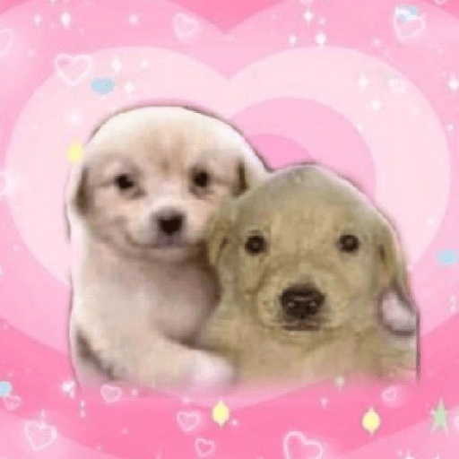 Amor ou fofura 20