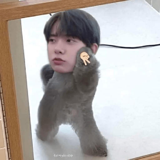 Enhypen 1