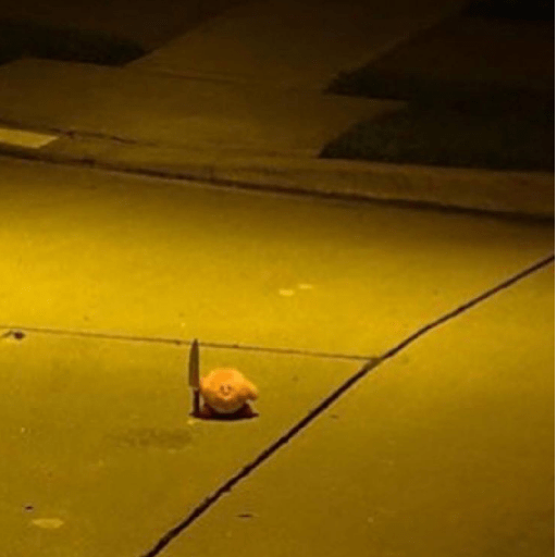 Kirby, megustanloshotdogs 16
