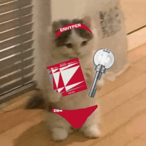 Enhypen 29