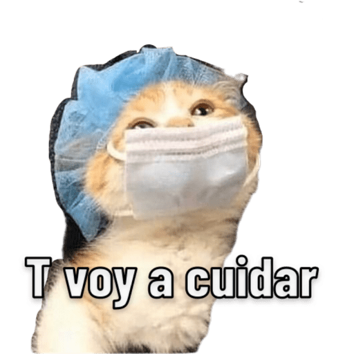 Michis 🐱 14
