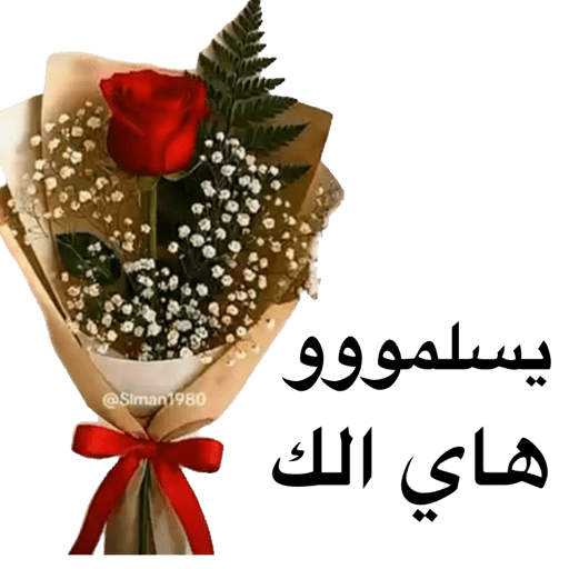 Thanks يسلمو 28