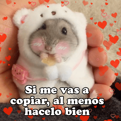 Hámsters No Copy Zone🐹✨ 30