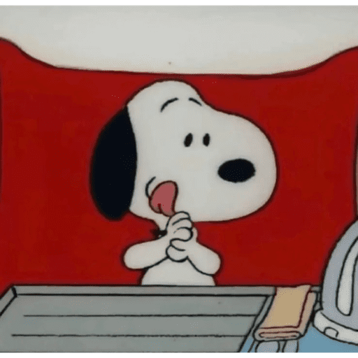 Snoopy 2  5