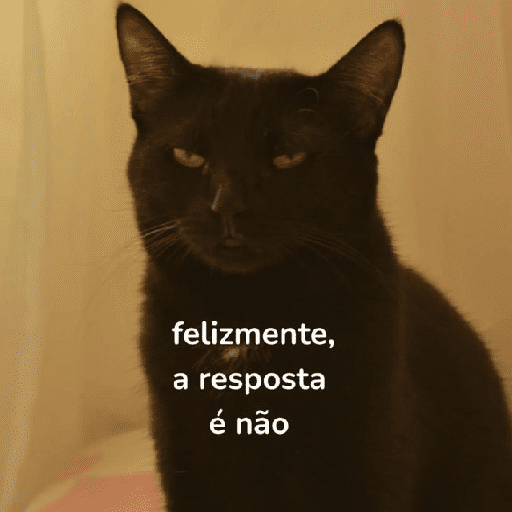 Nada é errado se te faz feliz  4