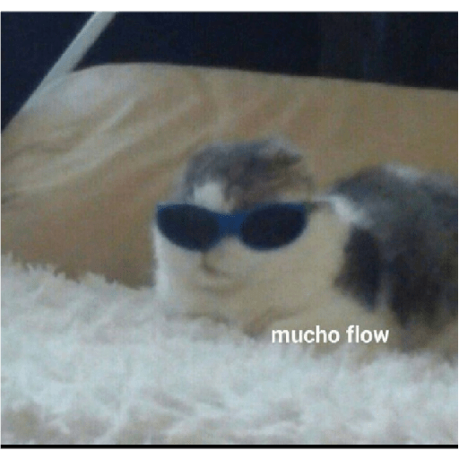 Gatitos 3