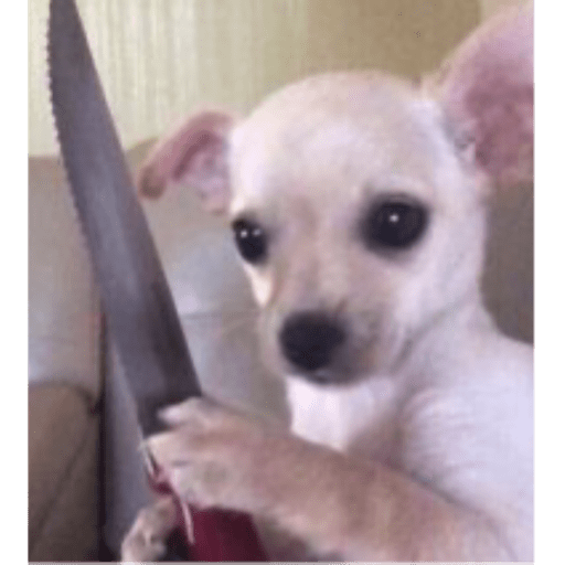 Memes pets 2