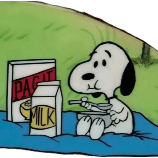Snoopy 2  6