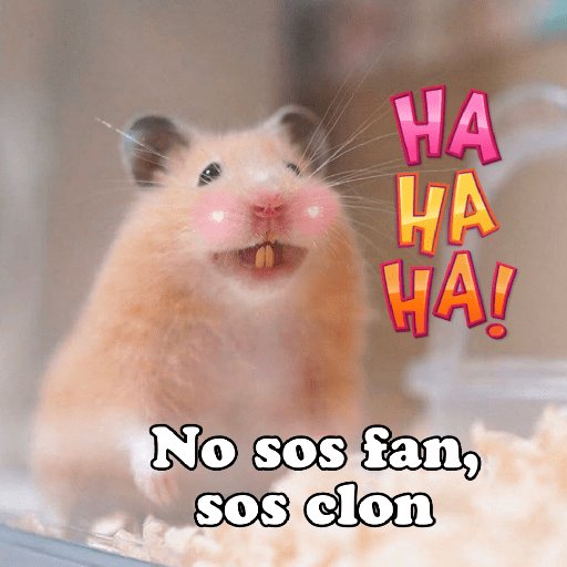 Hámsters No Copy Zone🐹✨ 20