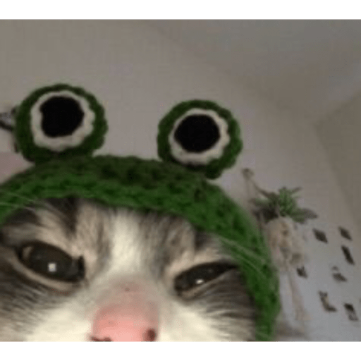 Memes pets 28