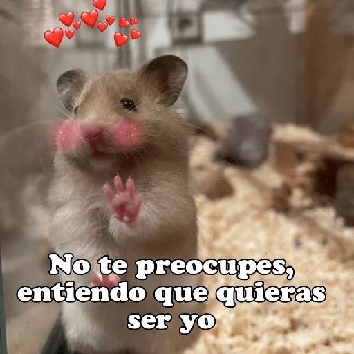 Hámsters No Copy Zone🐹✨ 26