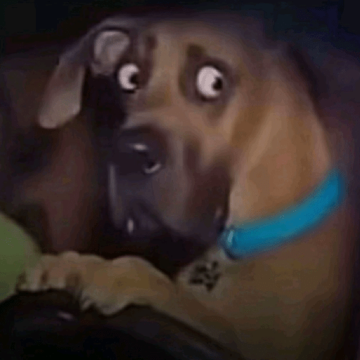 Shitpost ~ miguelhi 🌚 26