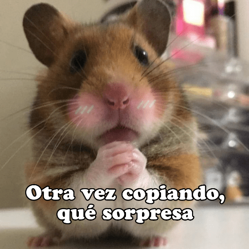 Hámsters No Copy Zone🐹✨ 25