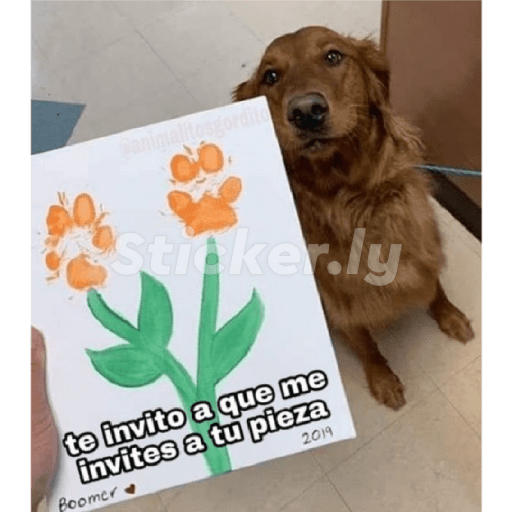 Para ligar bonito 20