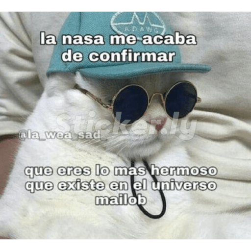 Para ligar bonito 22
