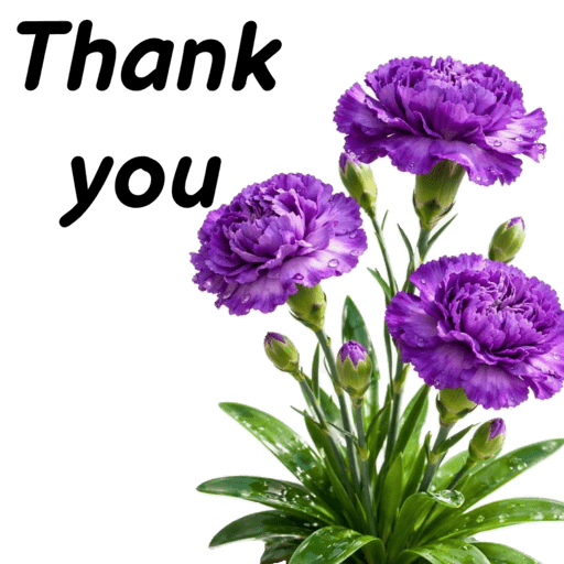 Thanks يسلمو 14