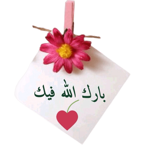 Thanks يسلمو 11