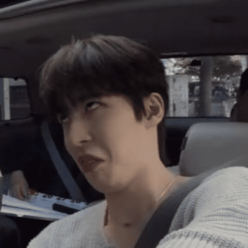 Kpop random tiker 4