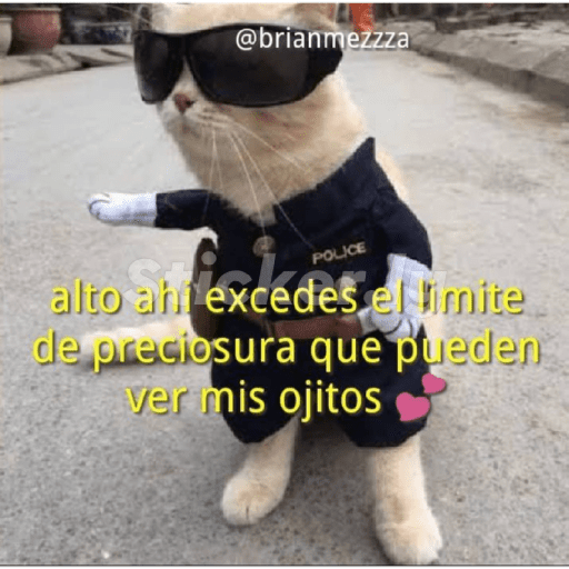 Para ligar bonito 21
