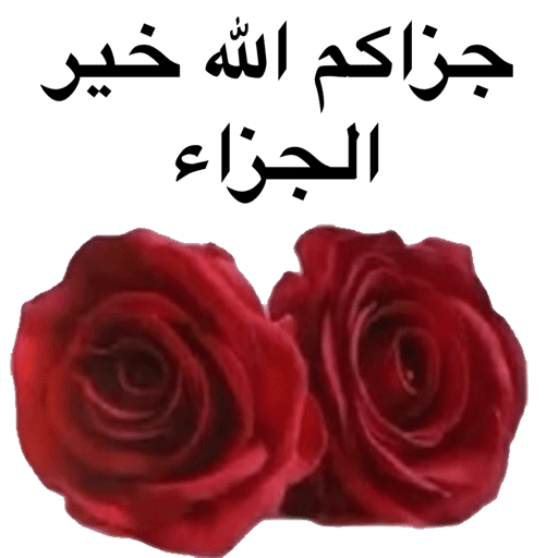 Thanks يسلمو 29