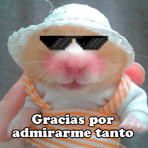 Hámsters No Copy Zone🐹✨ 18