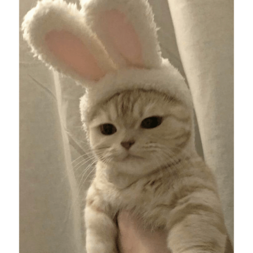Memes pets 26