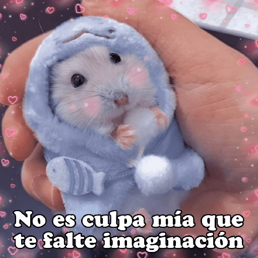 Hámsters No Copy Zone🐹✨ 21