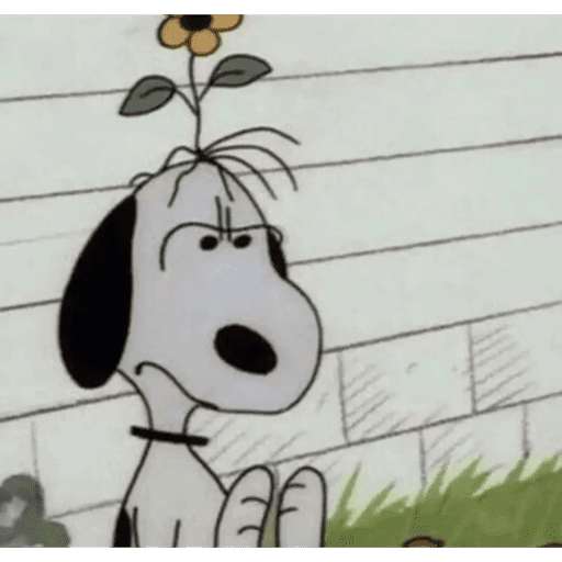 Snoopy 2  9