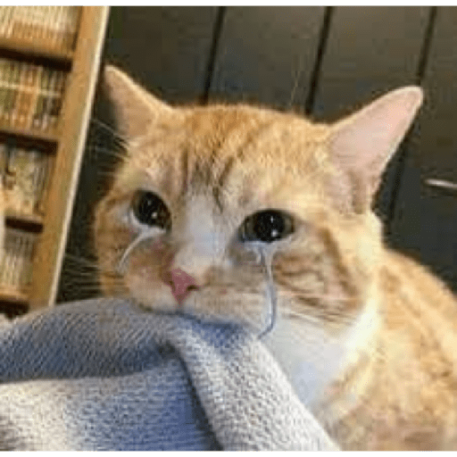 Gatitos 2