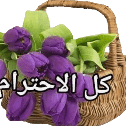 Thanks يسلمو 24