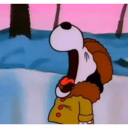 Snoopy 2  7
