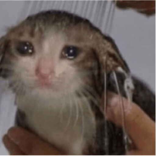 Memes pets 23