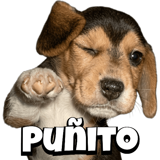 Pack Random Memes 6/6 🇦🇷 5