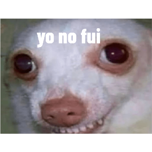 Perros graciosos 3 10