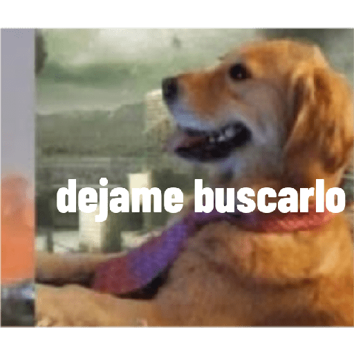 Perros graciosos 3 11