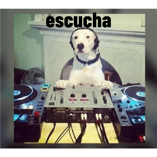 Perros graciosos 3 15